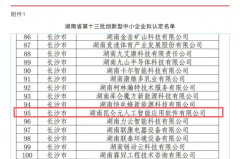 喜报！湖南昆仑元成功入选湖南省第十三批创新型中小企业名单相关证书